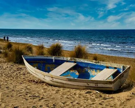 Matte Vitto Donoratico