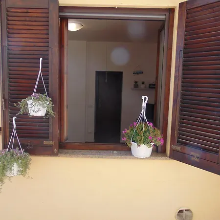 Matte Vitto Donoratico