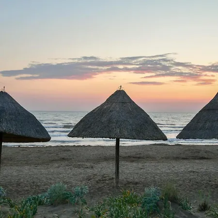 Matte Vitto * Donoratico