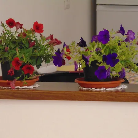 Casa vacanze Matte Vitto *